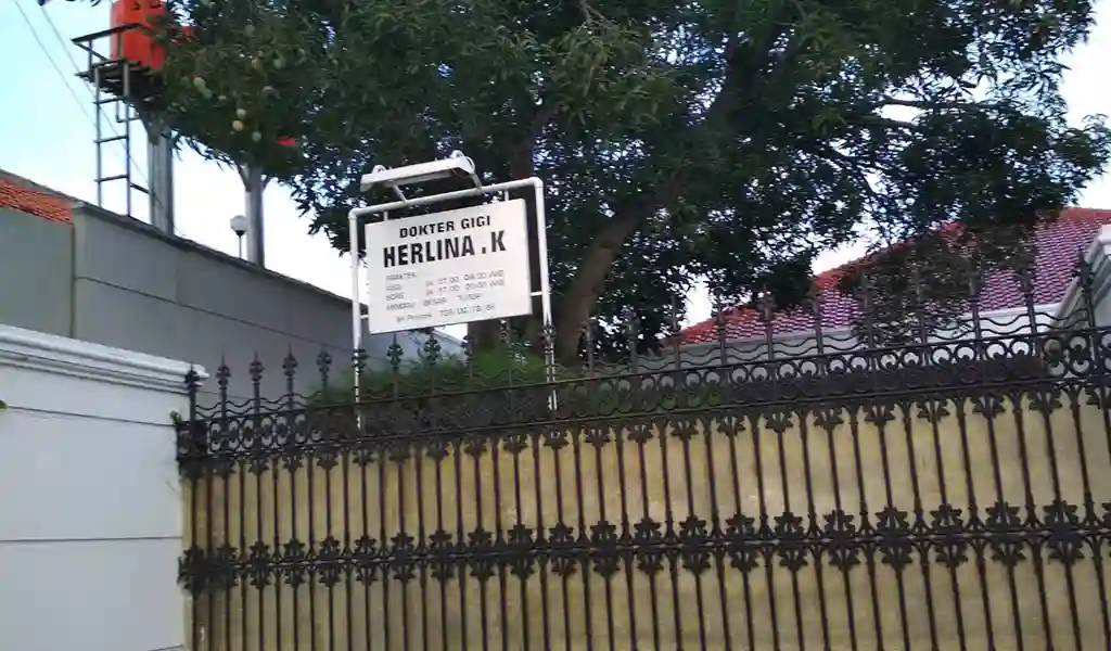 2. Dokter Gigi Herlina K 2. Dokter Gigi Herlina K