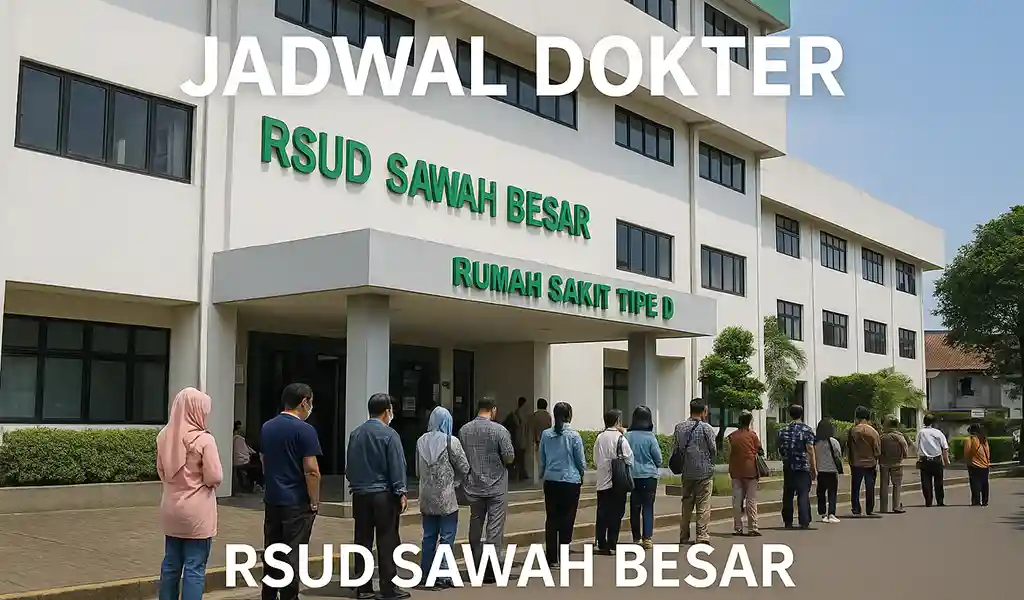Jadwal Dokter RSUD Sawah Besar